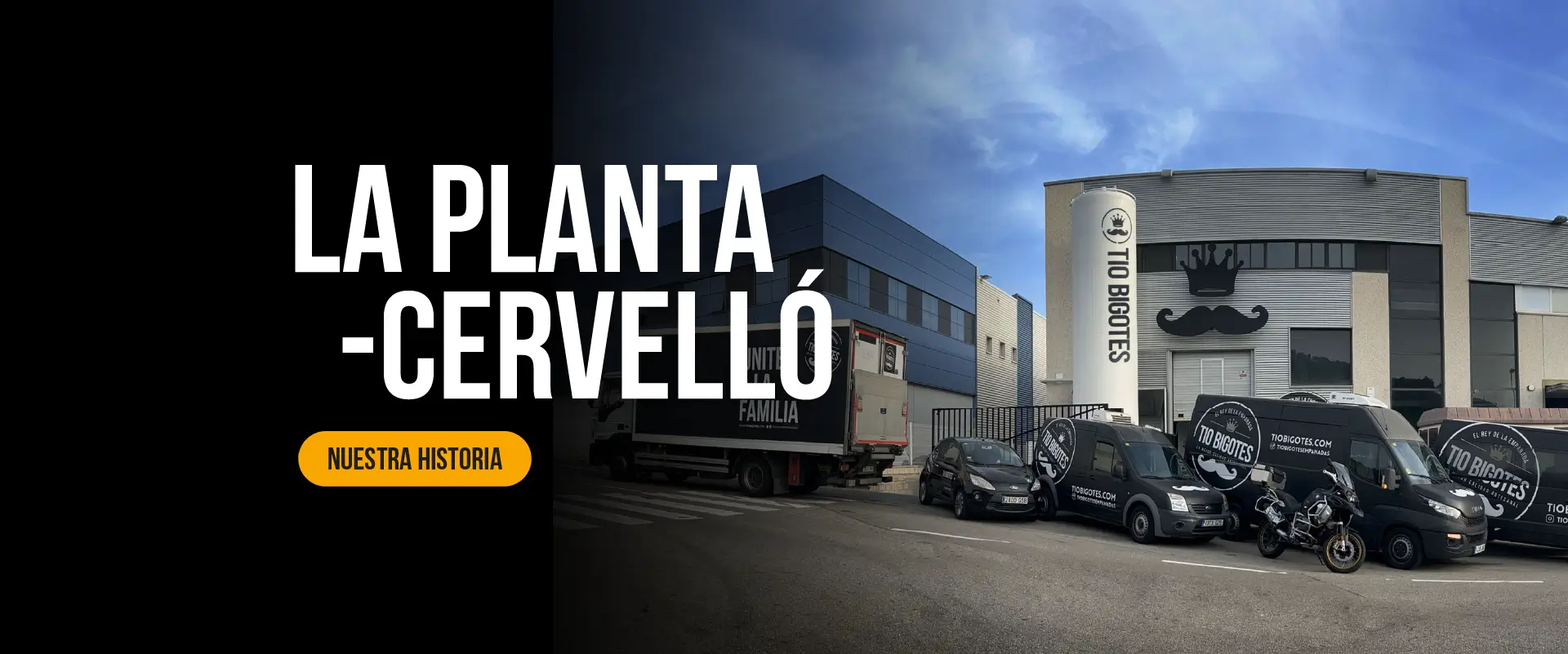 La-planta-cervello-desk